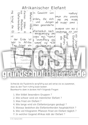 Afrikanischer Elefant.pdf